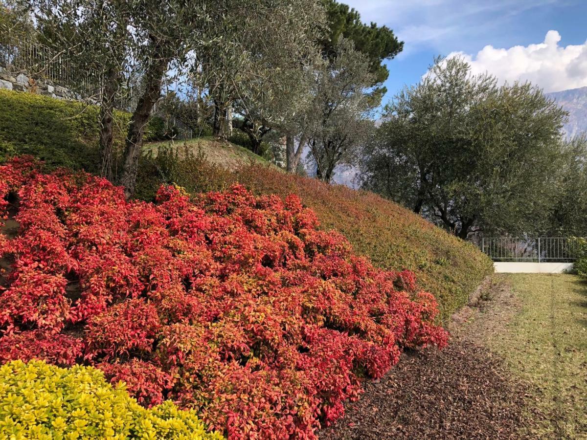 Villa Dei Sogni Bellagio Exteriér fotografie